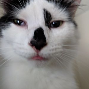 Meet your Posher, Marina